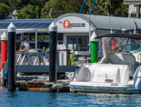 Woody Point