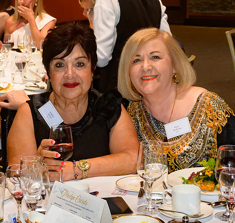 20241120-EOVAW Fundraiser - Z9X_0350