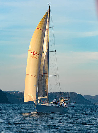20151110-RPA-D4C_4548-