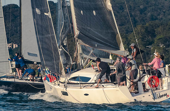 20151110-RPA-D4C_3938-
