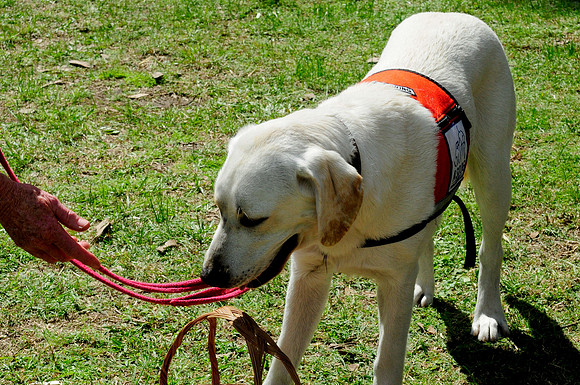 ASDOG 2011 -_-25