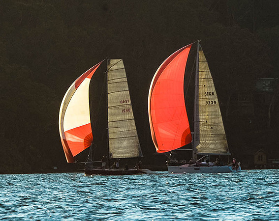 20151110-RPA-D4C_4498-