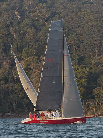 20151110-RPA-D4C_4190-