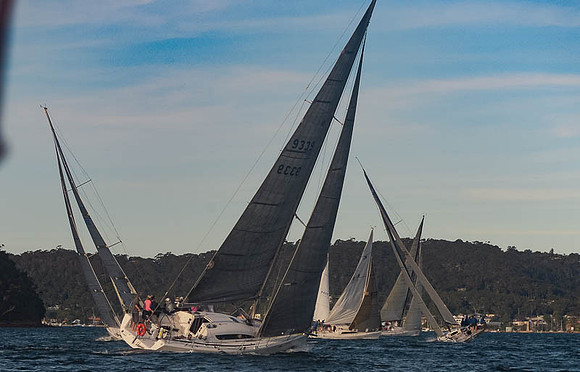 20151110-RPA-D4C_4189-