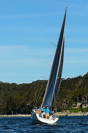 20151110-RPA-M8C_3818-