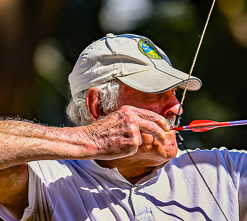 Probus Archery