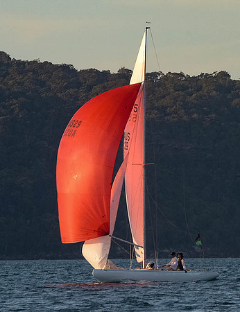20151110-RPA-D4C_4541-