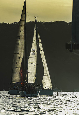 20151110-RPA-D4C_4061-
