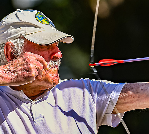 Probus Archery