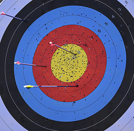 Probus Archery