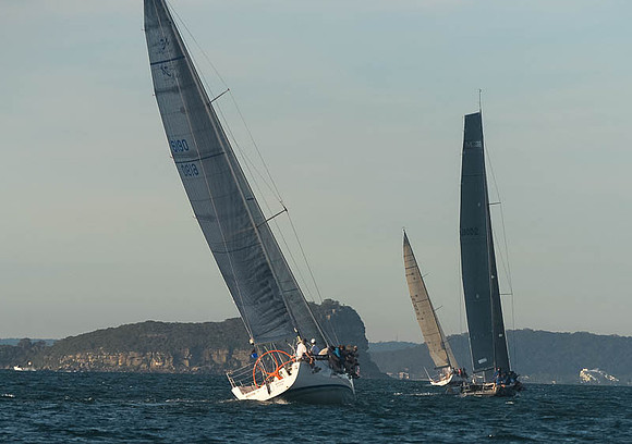 20151110-RPA-D4C_4267-