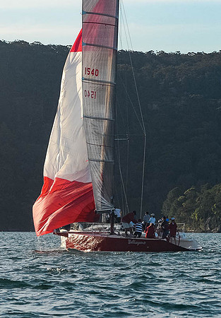 20151110-RPA-D4C_3954-