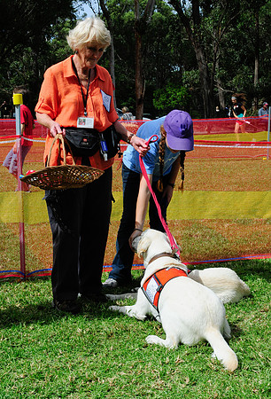 ASDOG 2011 -_-31