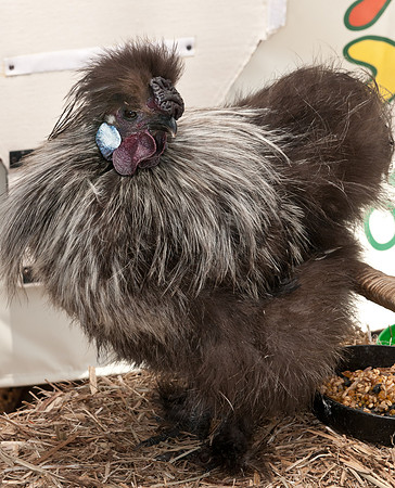 PP-2010-12-05-235