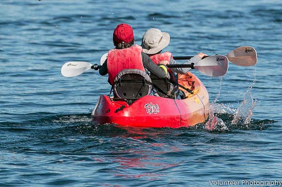 Pittwater Paddle