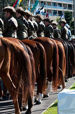 Light Horse