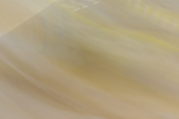 20220225-Rotary Art - D8A_4745