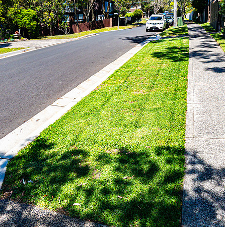20241121-Footpath - IMG_3985
